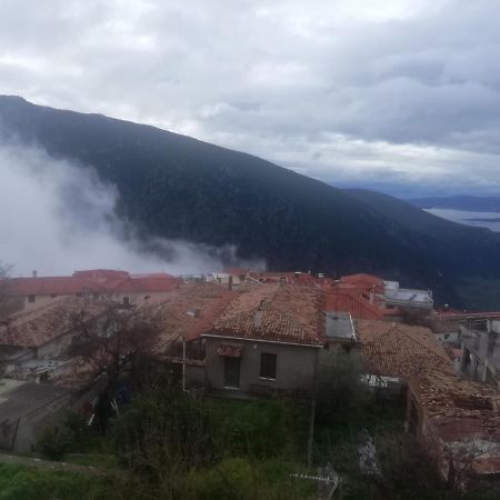 Castri Hotel Delphi Luaran gambar