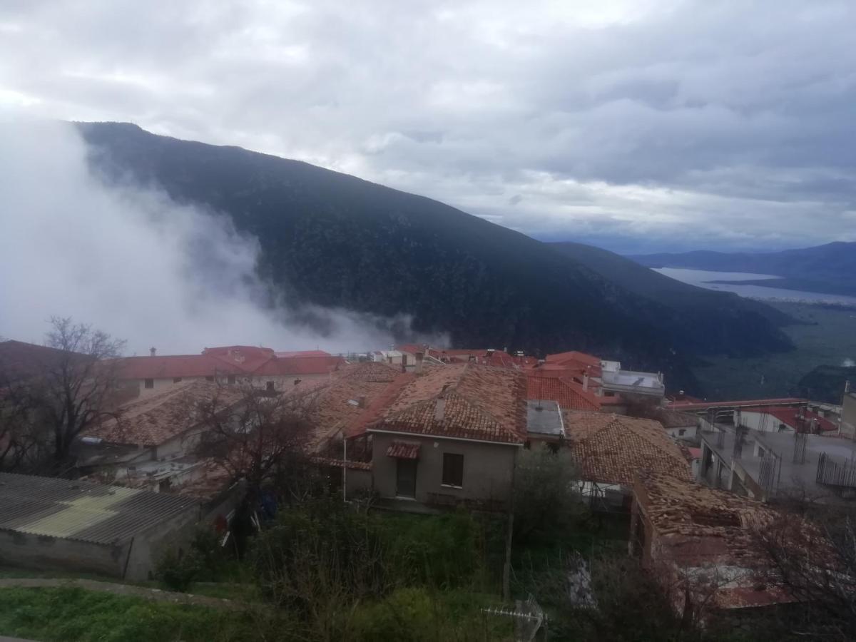 Castri Hotel Delphi Luaran gambar